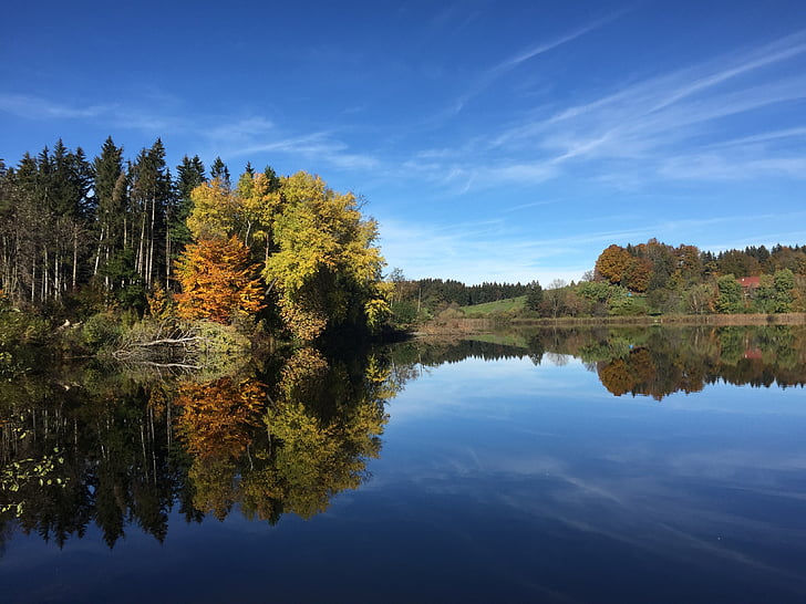 krajina, jezero, podzim, Příroda, Les, strom, Scenics