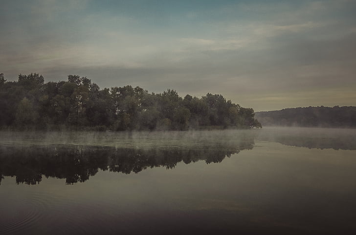 gris, mise à l’échelle, photo, Lac, île, eau, brouillard