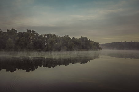 gris, mise à l’échelle, photo, Lac, île, eau, brouillard