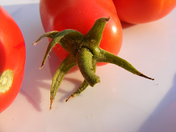 nature, fruits, vegetables, tomatoes, red, tomato, natural