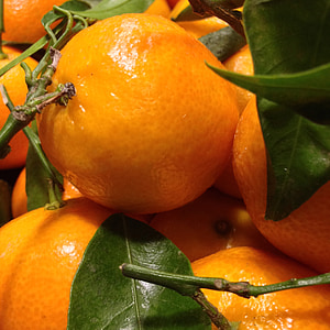 bahasa Mandarin, jeruk, buah, vitaminhaltig, lezat, Frisch, sehat