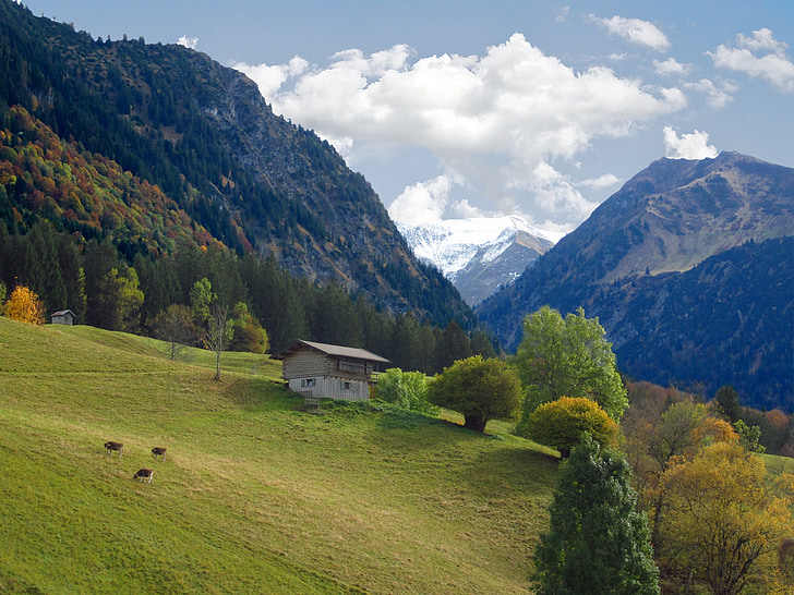 αλπική, βουνά, καλύβα, Oberstdorf, ορεινό τοπίο, τοπίο, πράσινο