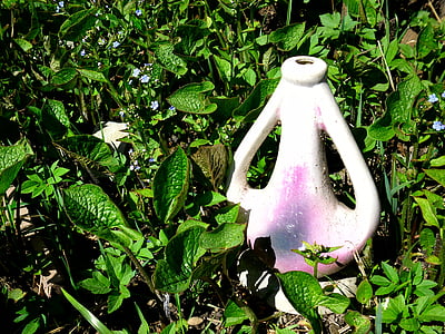 双耳瓶, 滗水器, 设计, 花园, 紫色, 草, 装饰