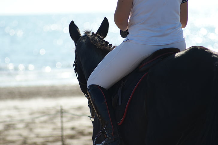 horse, beach, sea, horseback riding, horses, ocean, sand