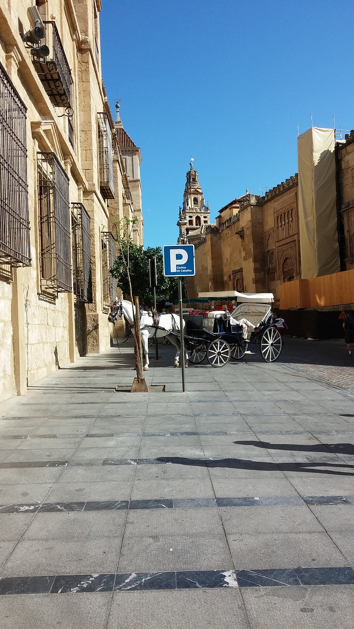 Mijas, Hiszpania, biały koń, przewóz, buggy, parking, jeździć
