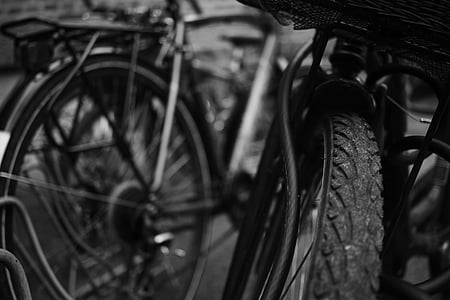 rodas, bicicleta, bicicleta, ciclo de