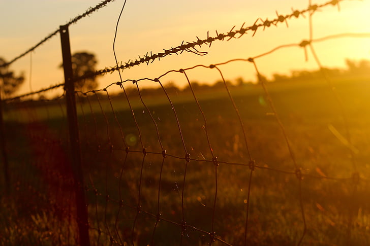 barbed wire, fence, wire mesh, sunset, no people, nature, agriculture
