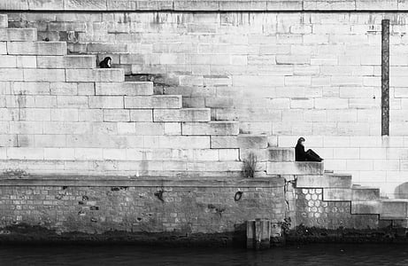 grayscale, photography, concrete, stairs, near, body, water