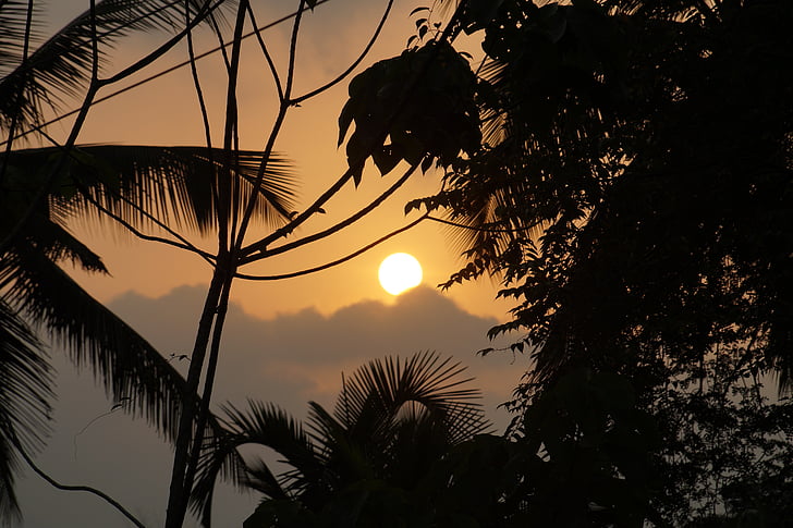 Západ slunce, obloha, Jižní Indie, stromy
