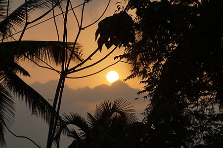 ηλιοβασίλεμα, ουρανός, Νότια Ινδία, δέντρα