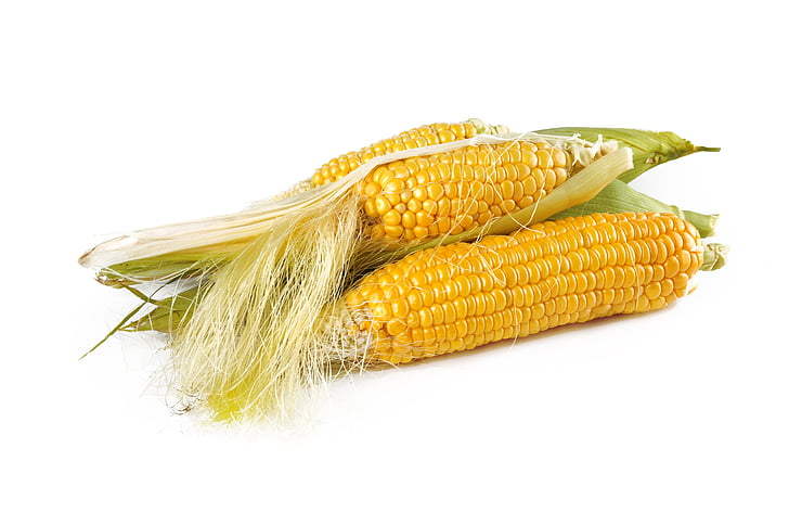 kukurūzų, natūralus, prinokusių, derliaus, rudenį, maisto, Vegetariška