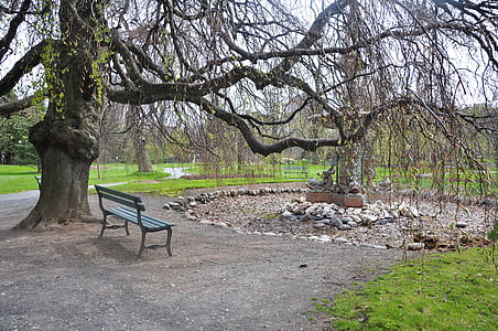 벤치, 공원, 야외, 좌석, 휴식, 나무, 앉아
