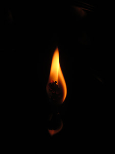 flama, Espelma, fosc, foscor, llum, un, sola