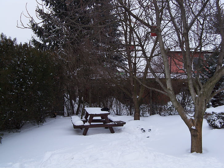 Puutarha, talvi, loput garden, Puutarha penkki, piknik-pöydän, lumi, puu