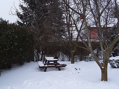 trädgård, vinter, resten trädgård, trädgård bänk, picknickbord, snö, träd