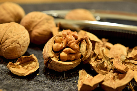 Vlašské ořechy, skořápkové ovoce, svačina, bílkoviny, hnědá, surový, zdravé