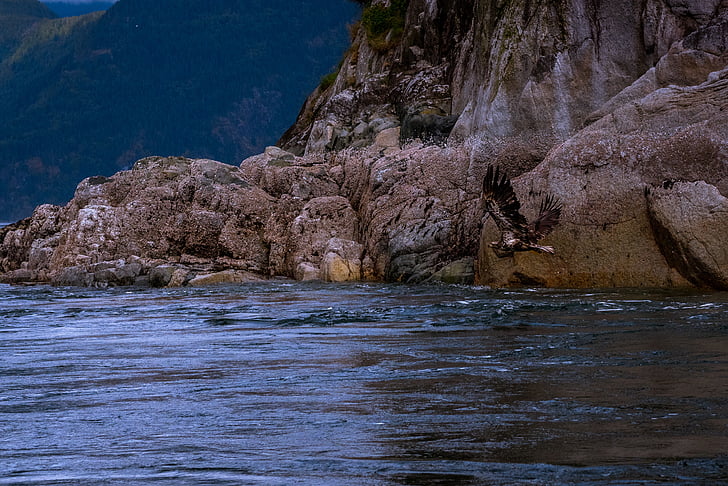 nature, water, ocean, sea, beach, rocks, mountain