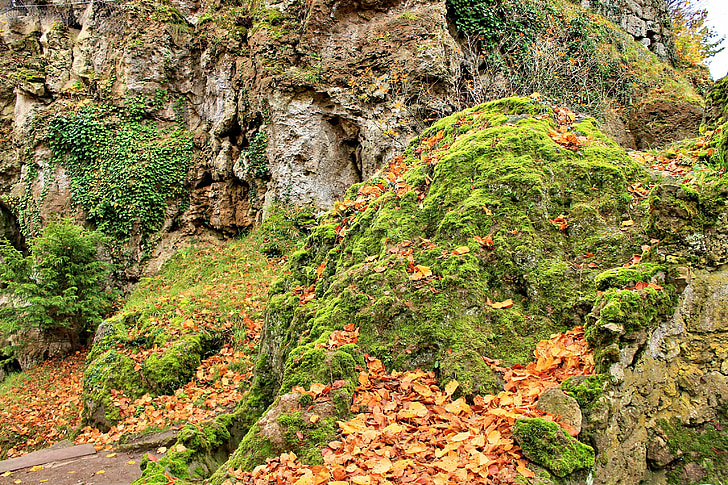 forest, rock, moss, hiking, autumn, emerge, nature