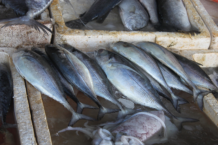 ψάρια, Ταϊλάνδη, αγορά, Ασία, πωλούν, Ταϊλανδέζικη κουζίνα, τροφίμων
