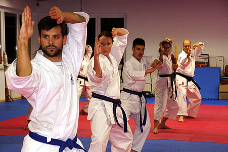 karate, arts marcials, esport, homes, oci, fort, esportiu