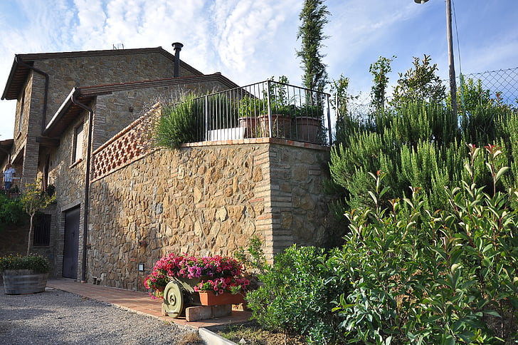 hus i druva gård, Monte capuccino, Wineyard, grapeyard, Grape gård, Montepulciano, landsbygd