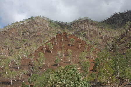 Timor-leste, východní timor, Hills, Dili, suchá zem, řídké obal