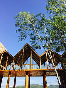 여행, 하이 라 얼, 통나무집, 중국