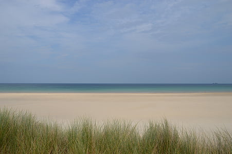 плаж, porthkidney, Hayle, Корнуол, St ives, тръстика, пясък
