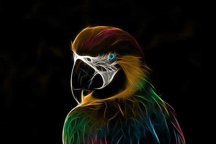 parrot, ara, bird, colorful, fractalius