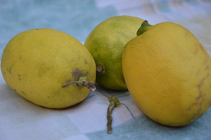 лимони, плодове, цитрусови плодове, жълто, плодове