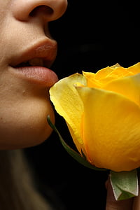 kvinders, ansigt, læbe, gul, blomst, model, menneskelige