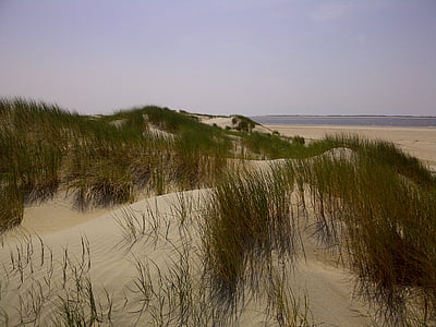 Dunes, Laut Utara, Denmark, Pantai, laut