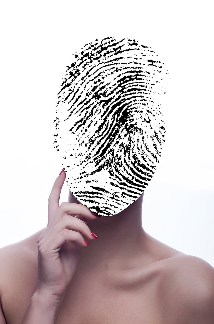 fingerprint, personalization, data retention, flexibility, data security, personality rights, security
