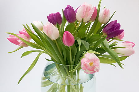 Tulipa, RAM de flors de tulipa, flors de primavera, RAM, schnittblume, flor, flor