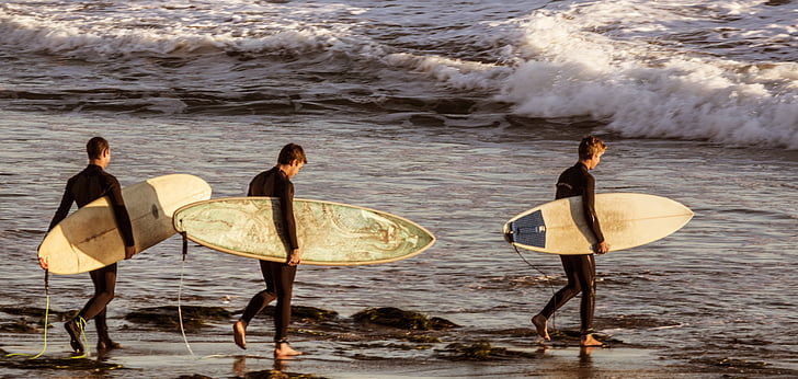surfistas, de surf, tabla de surf, de surf, mar, agua, Océano