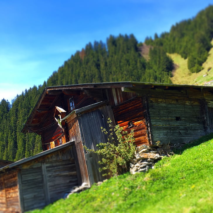 refuge alpin, ALM, refuge de montagne, Hut, cabane en bois rond