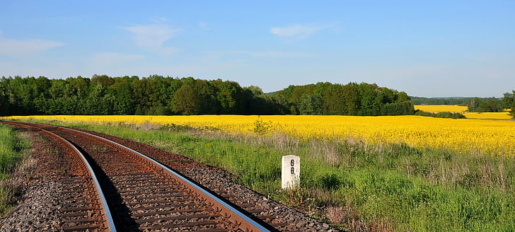 tracks, railway, rapeseed, energy, fuel, alternative, biofuels