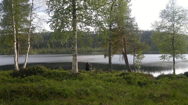 landskap, naturen, Umeå, Sverige, vatten, gräs, reflektion