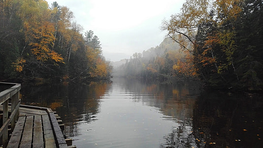 Park, Kanada, heijastus, syksyllä, Luonto, Metsä, Québec