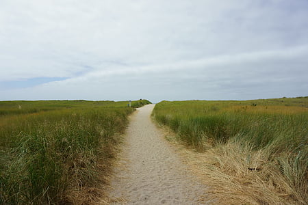 hierba, campo, carretera, Ruta de acceso, verde, Horizon, azul