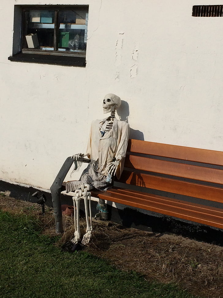 skeleton, bench, skull, loneliness, death