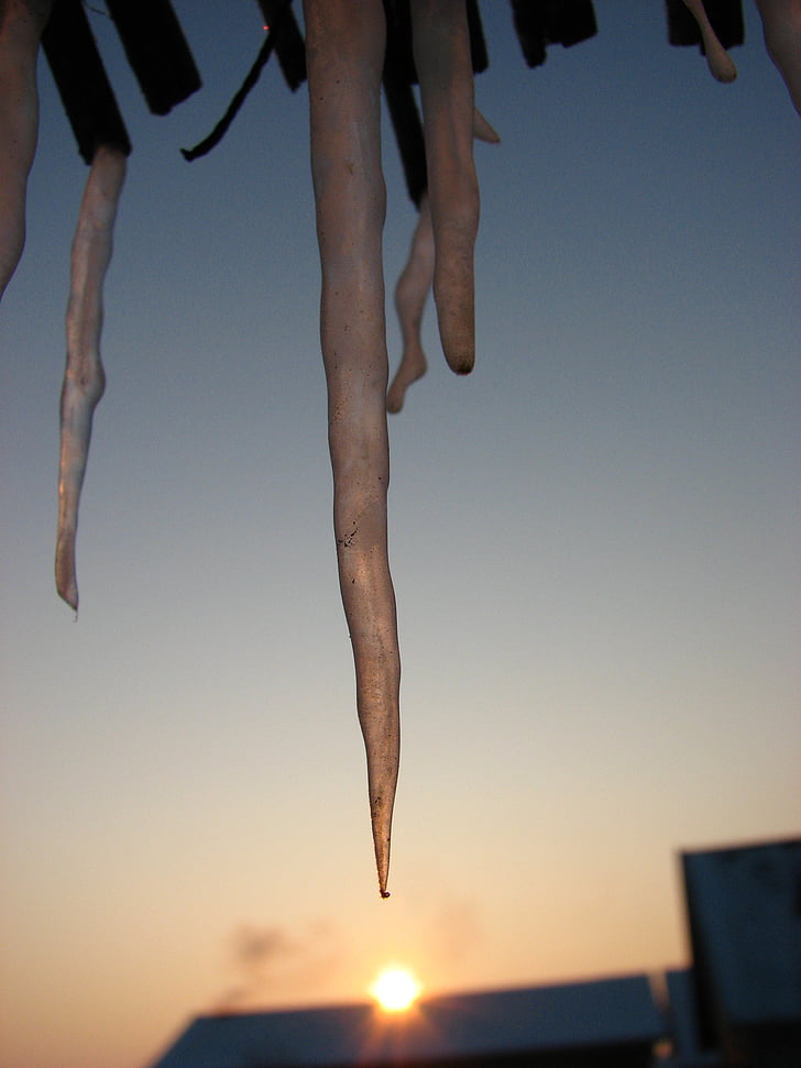 icicle, ice, winter, frost, immobility, sunrise