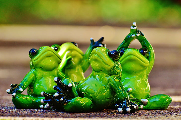 žabe, slika, Joga, gimnastika, smiješno, žaba, zelena