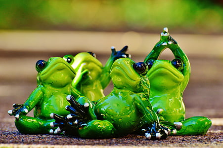 Kurbağalar, şekil, Yoga, jimnastik, komik, Kurbağa, Yeşil