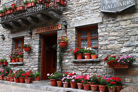 restaurant, european restaurant, flowers in pots, begonia, begonia in pots, storefront, rock wall