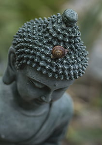 Buddha, snigel, buddhistiska, religion, ren, lugn, Meditation