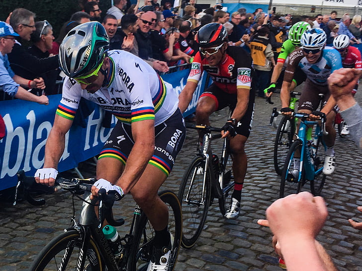 Pere sagan, ciclista, carreres, Tour de Flandes, Campió del món