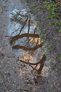 autumn, winter, puddle, mirroring, viewing