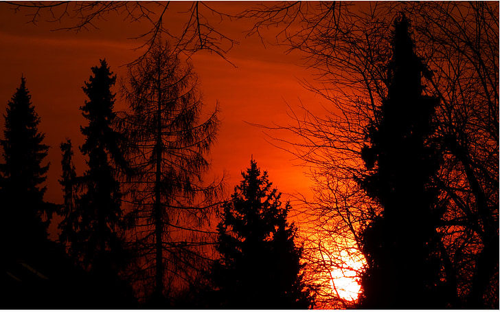 solnedgang, Afterglow, trær, solen, kveldshimmelen, abendstimmung, himmelen