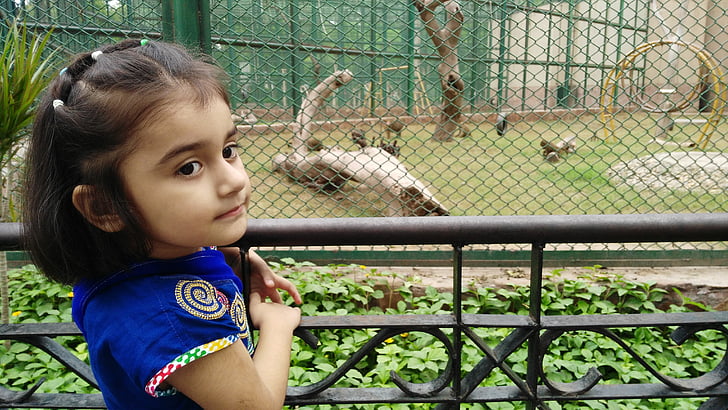 κοριτσάκι, το παιδί, παιδική ηλικία, Ζωολογικός Κήπος, σε εξωτερικούς χώρους, άτομα, κορίτσια